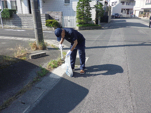 道路沿いのごみ拾いの様子