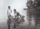 宍道湖で遊ぶ子どもの写真