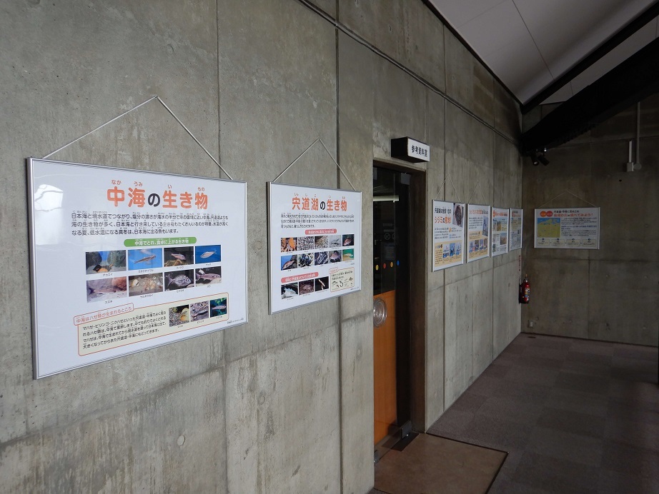 島根県立図書館展示風景