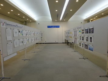 展示4