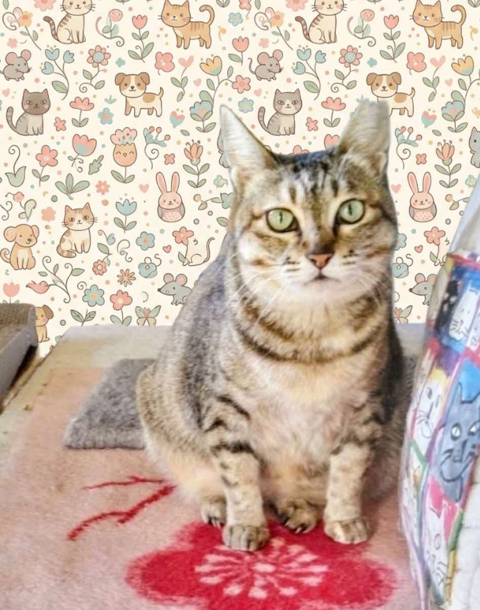 ①フク