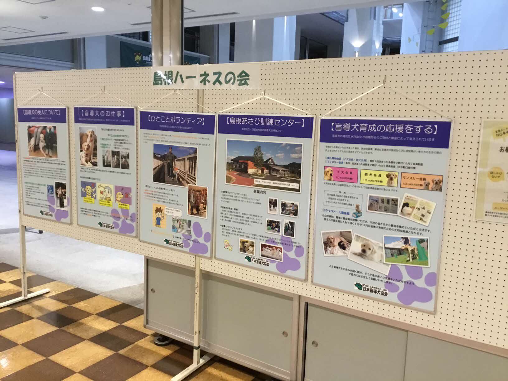 盲導犬の啓発パネル展示