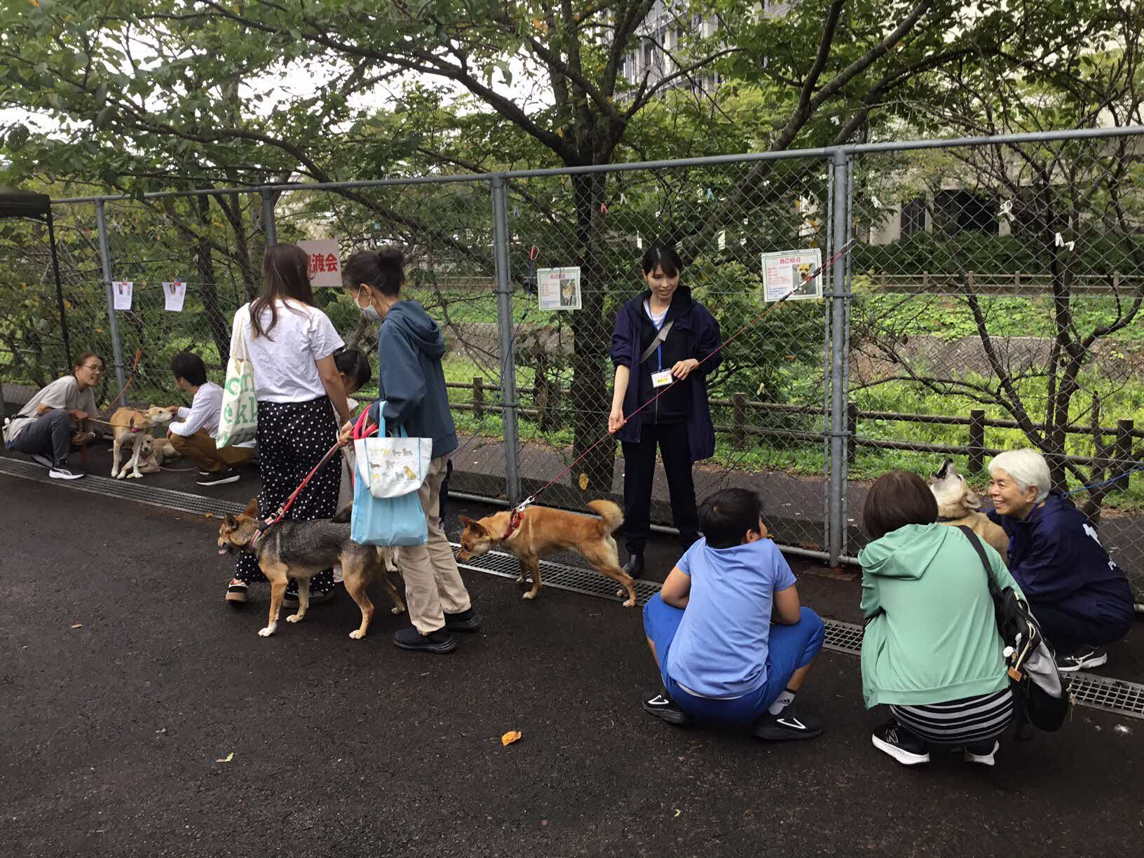 譲渡会