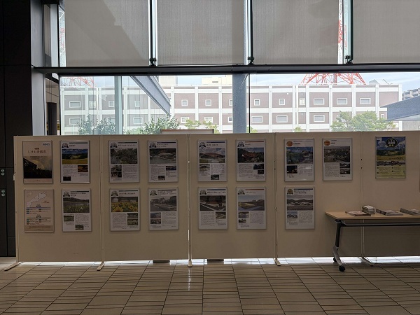 展示1