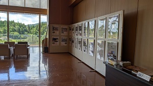 展示3