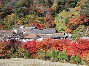 櫻井家