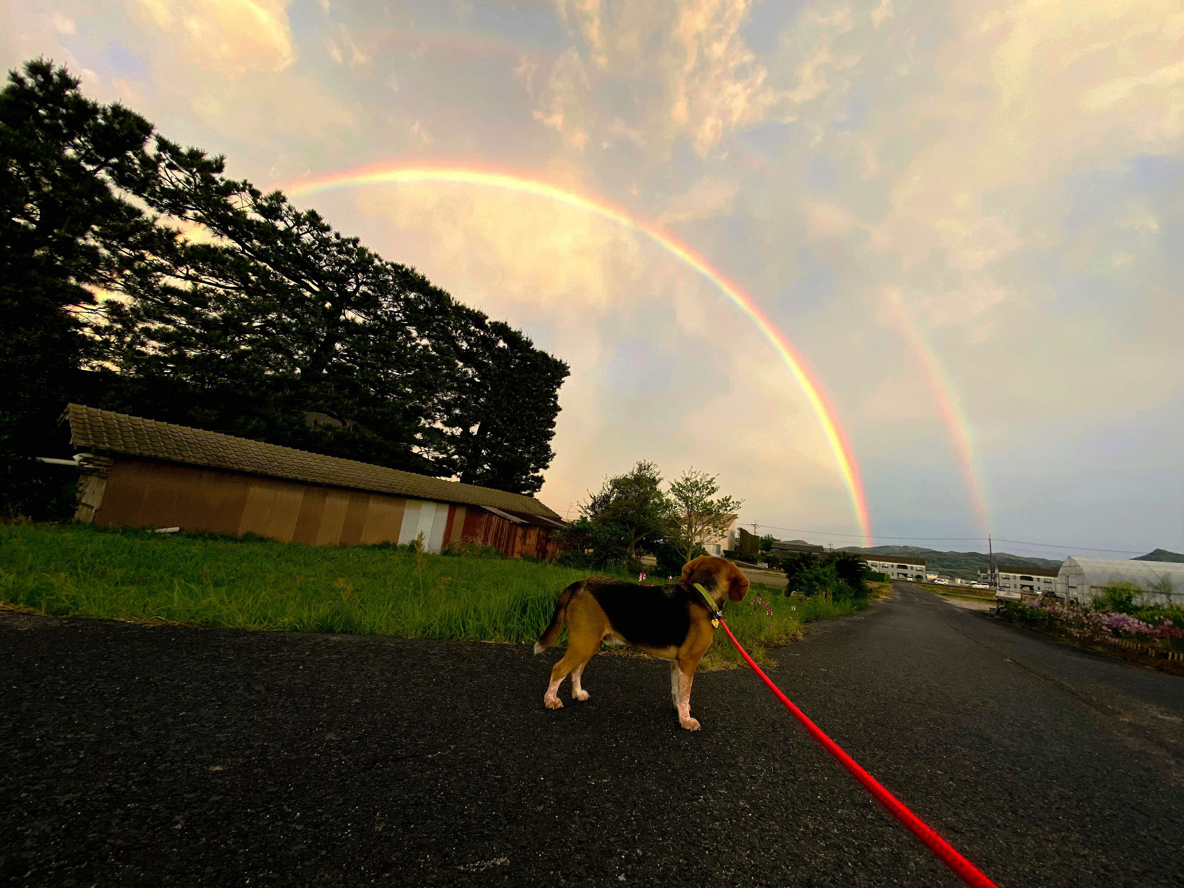 最優秀賞「雨上がり」