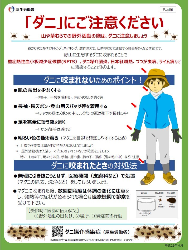 マダニチラシ