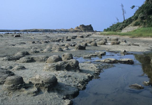 こぶ状のノジュールが並ぶ畳ヶ浦海岸