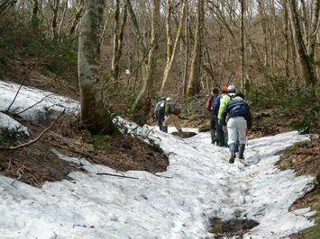 積雪のある道を歩く参加者の写真
