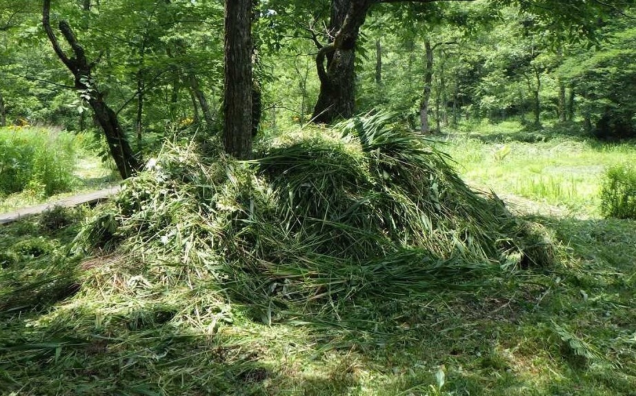 集められた草の山