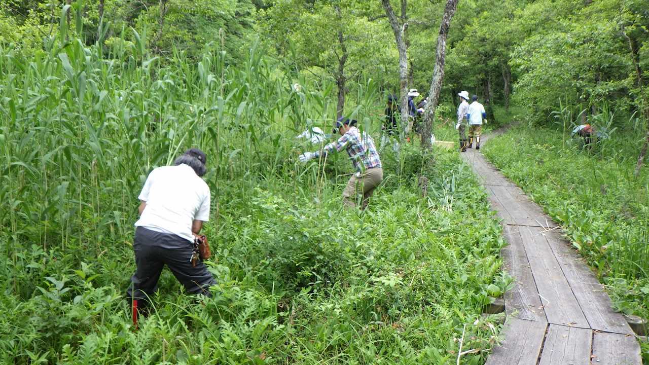 草刈り開始