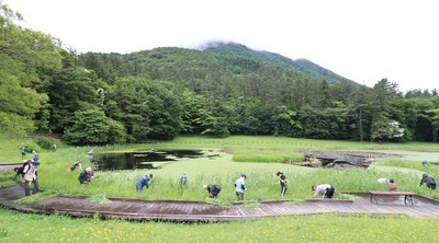 姫逃池保全活動全体図