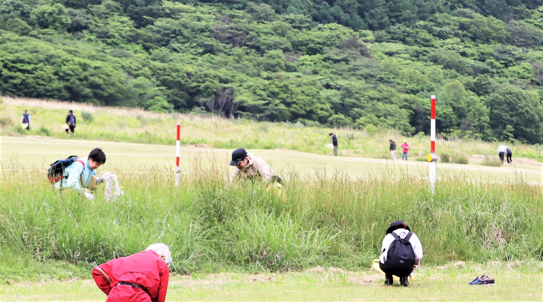 外来植物除去とゴミ拾いの人たち