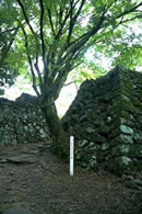 津和野城跡のイメージ写真