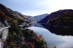 江川水系県立自然公園の写真