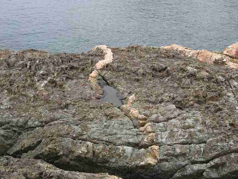 唐音の蛇岩の写真