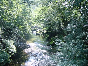 川と森