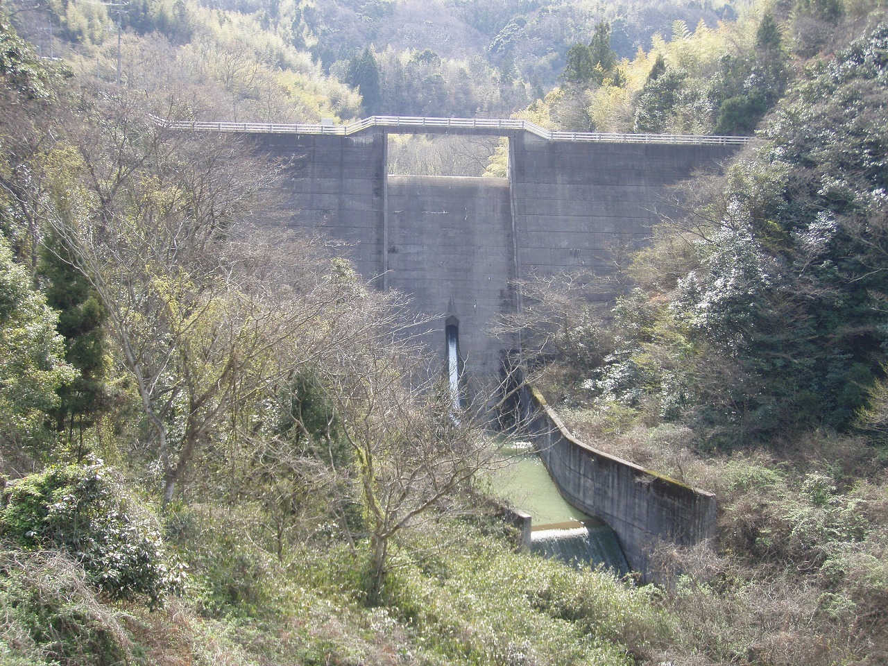 津田川ダムの写真