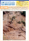 総合調査概報（１）