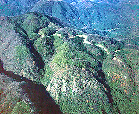 仙ノ山