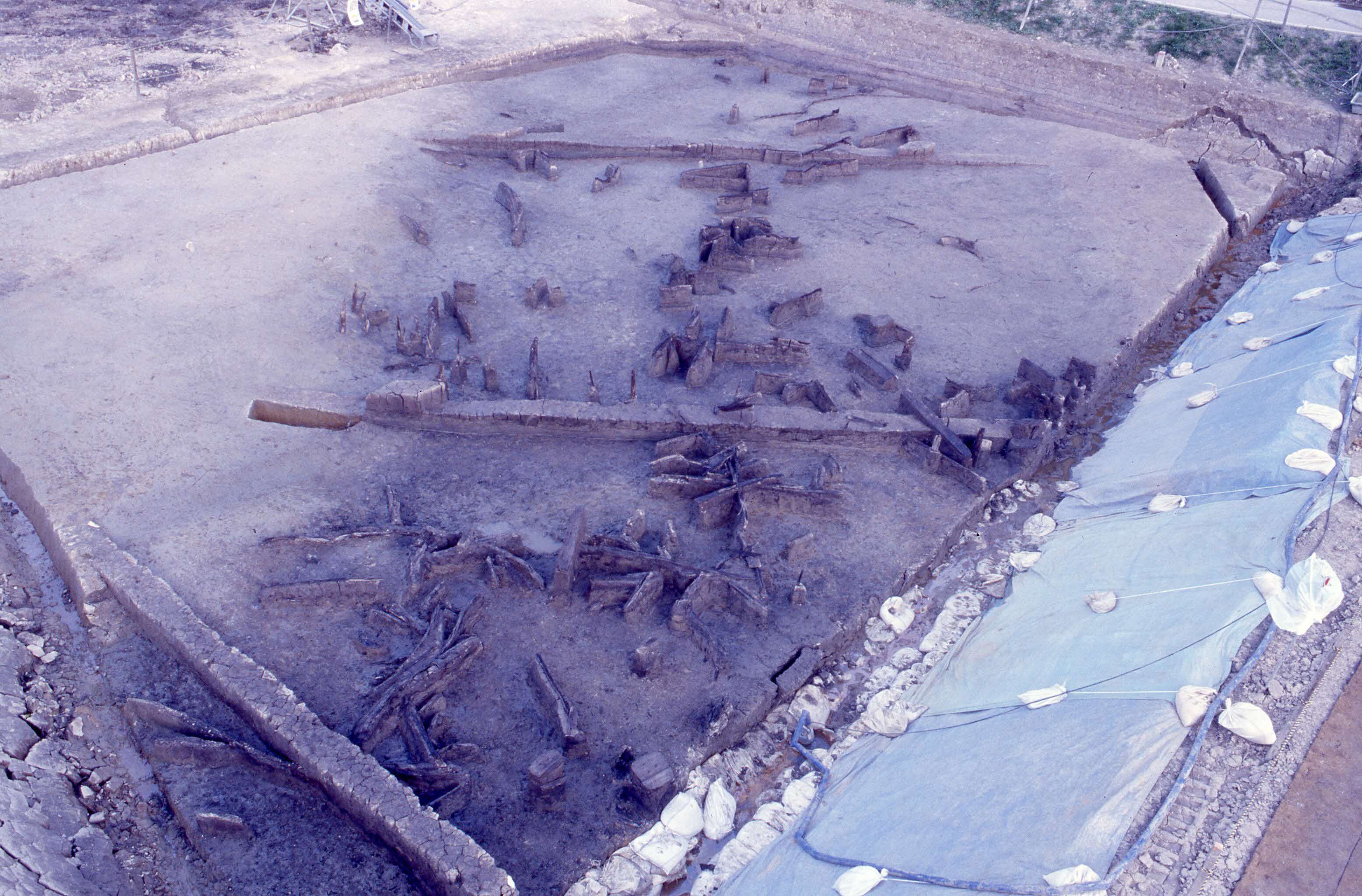 庵寺遺跡調査状況