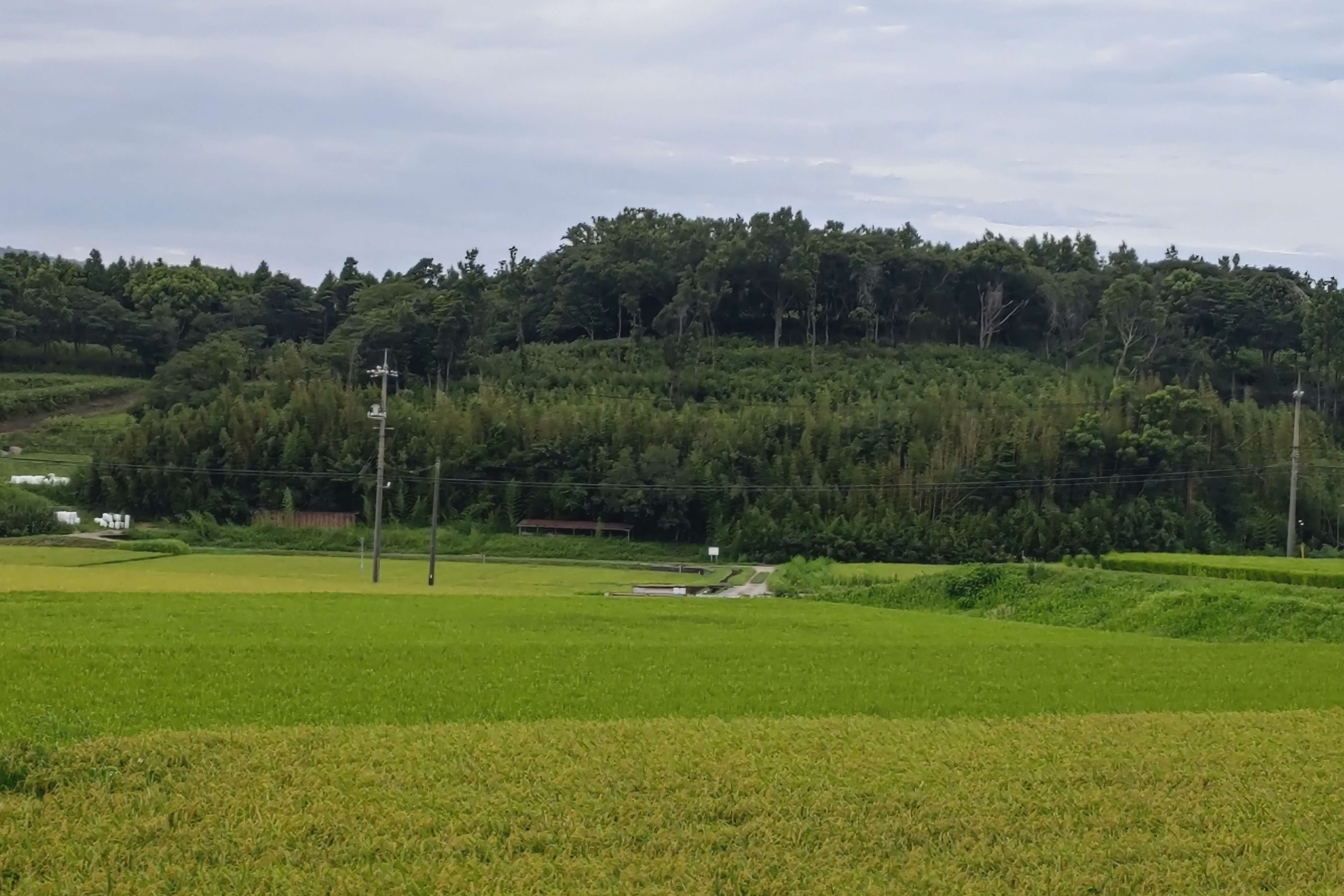 遺跡現状