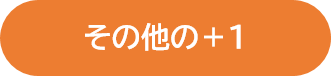 その他の＋１