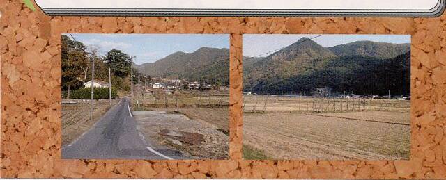 コース概要3 コース概要3