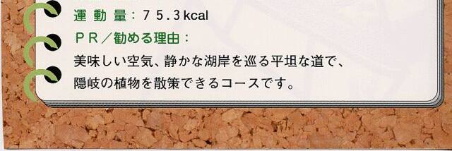 コース概要3 コース概要3