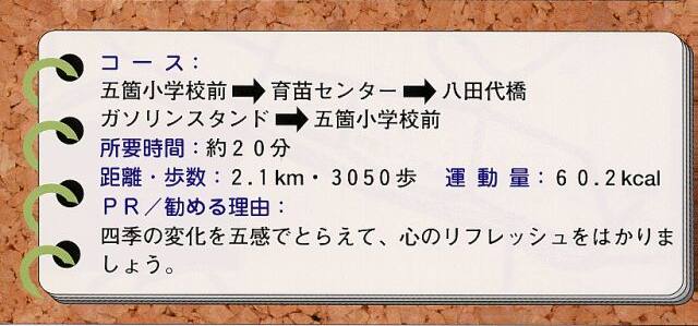 コース概要3 コース概要3