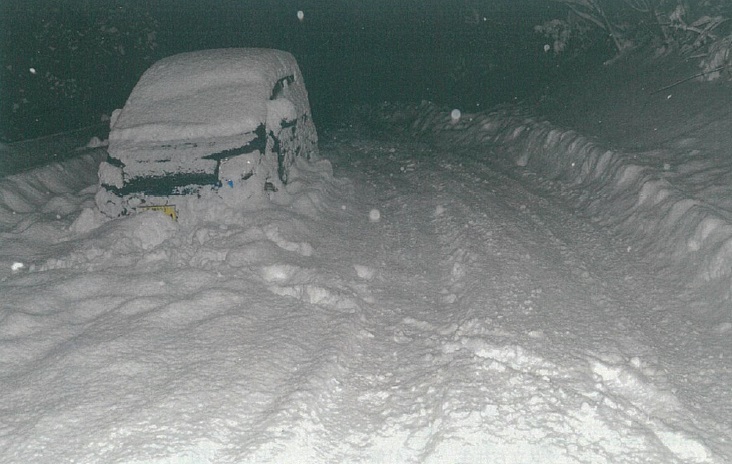 雪に埋もれる車
