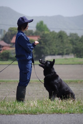 嘱託警察犬２