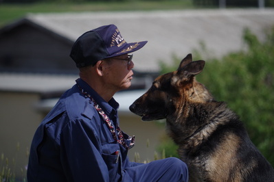 嘱託警察犬５