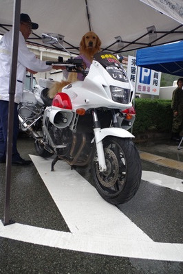 白バイ乗車体験（事故に遭ワン🐾）