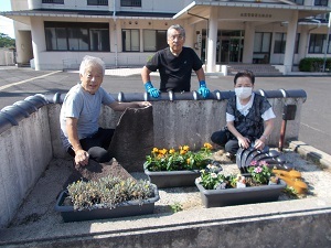 植栽の様子