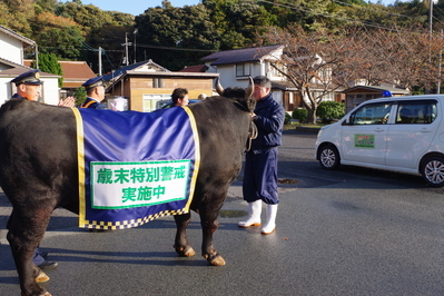 広報牛