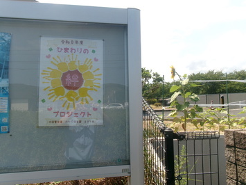 ひまわりポスター