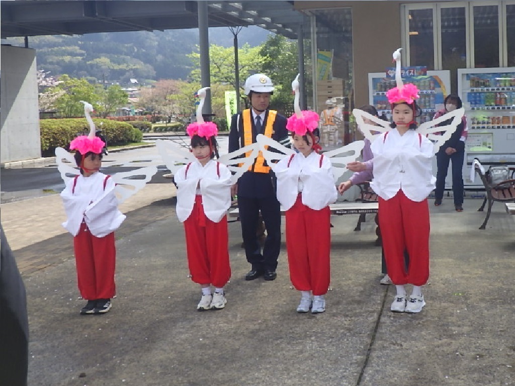 ４羽のかわいい子鷺たち