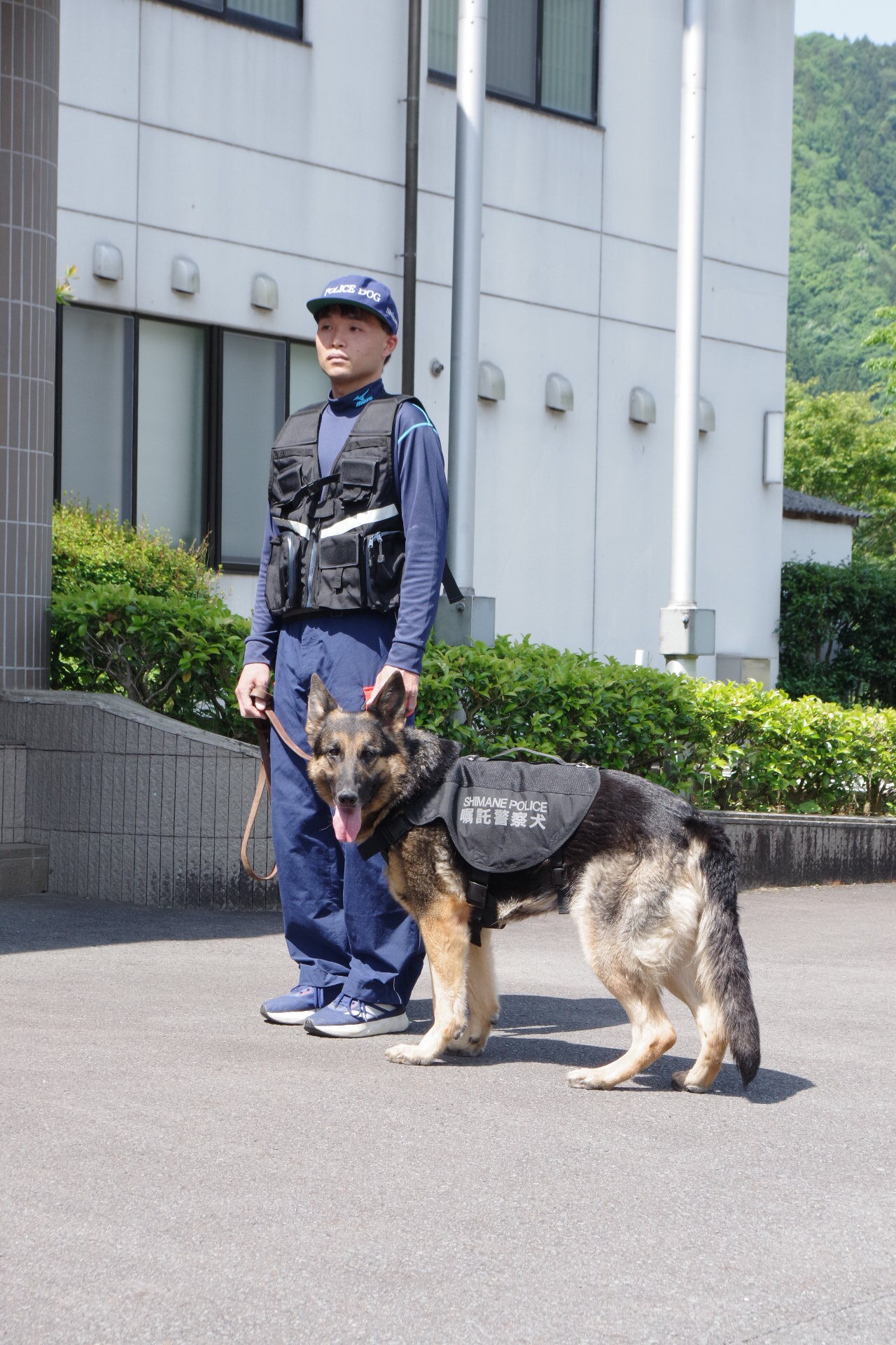 ⑰頼んだぞ！鼻の捜査官