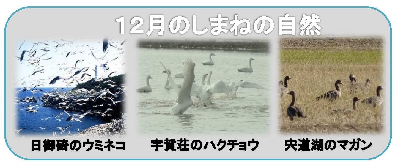 ９月のしまねの自然