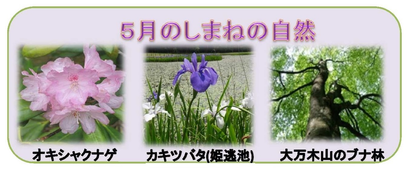 4月のしまねの自然