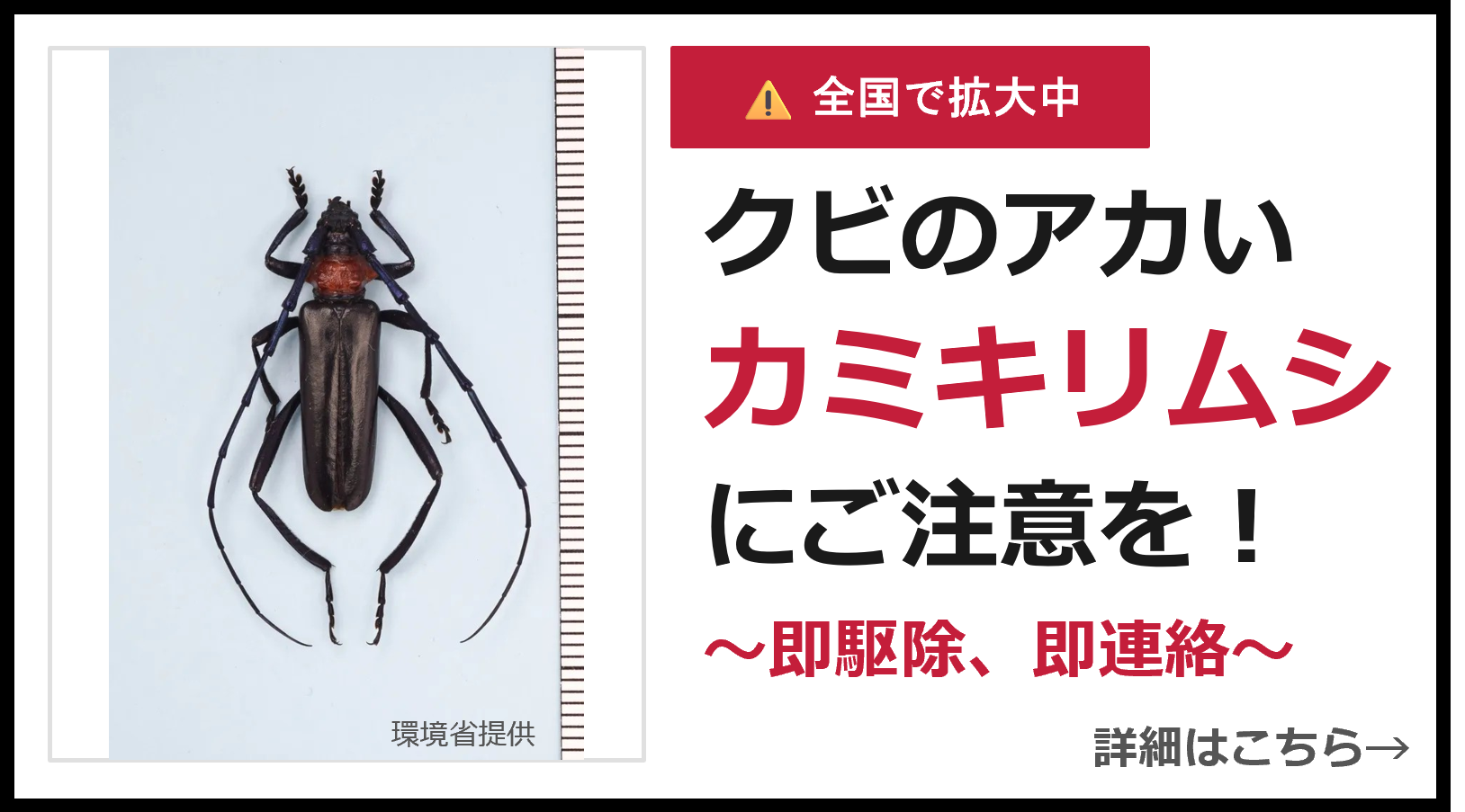 クビアカツヤカミキリ注意喚起アイコン