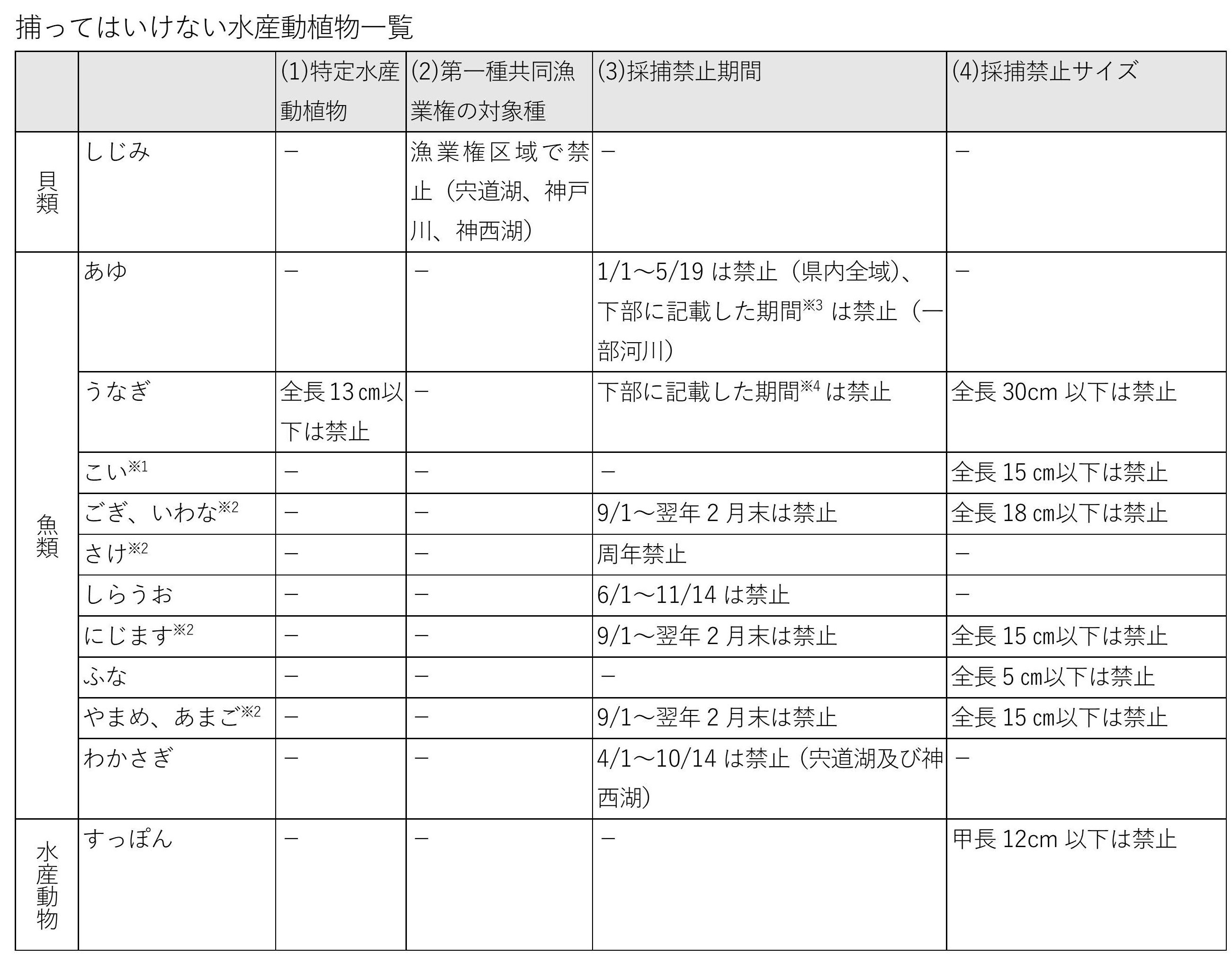 捕ってはいけない水産動植物